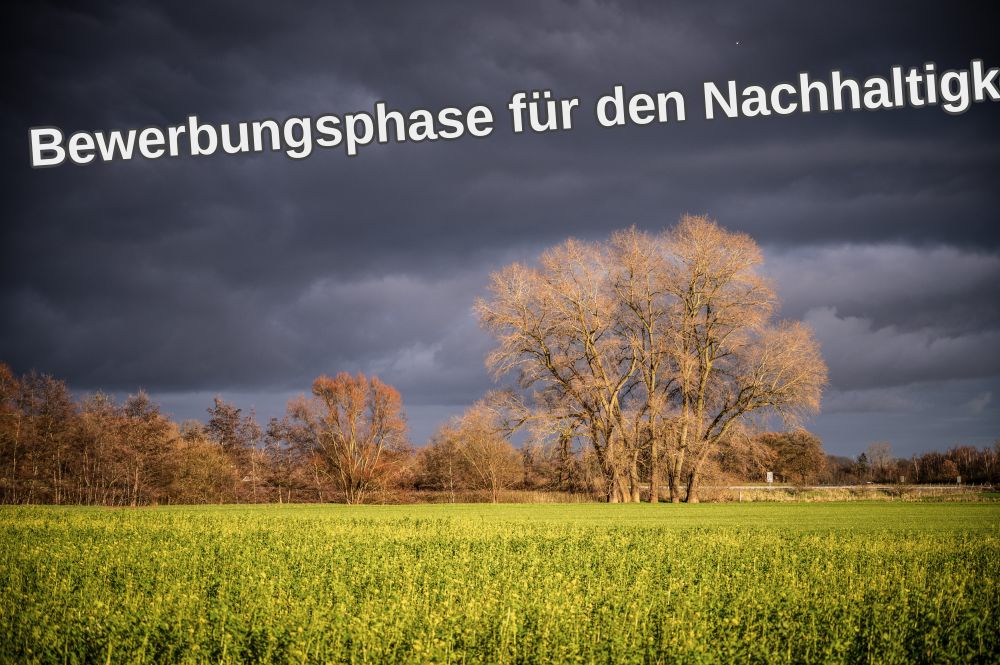 Bewerbungsphase Fuer Den Nachhaltigkeitspreis 2026 Verlaengert 08 01 2026