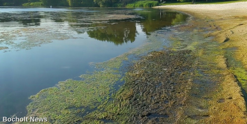 Blaualgen im Aasee: Schwimmverbot - Stadt Bocholt spricht Warnung aus Blaualgen im Aasee: Schwimmverbot - Stadt Bocholt spricht Warnung aus