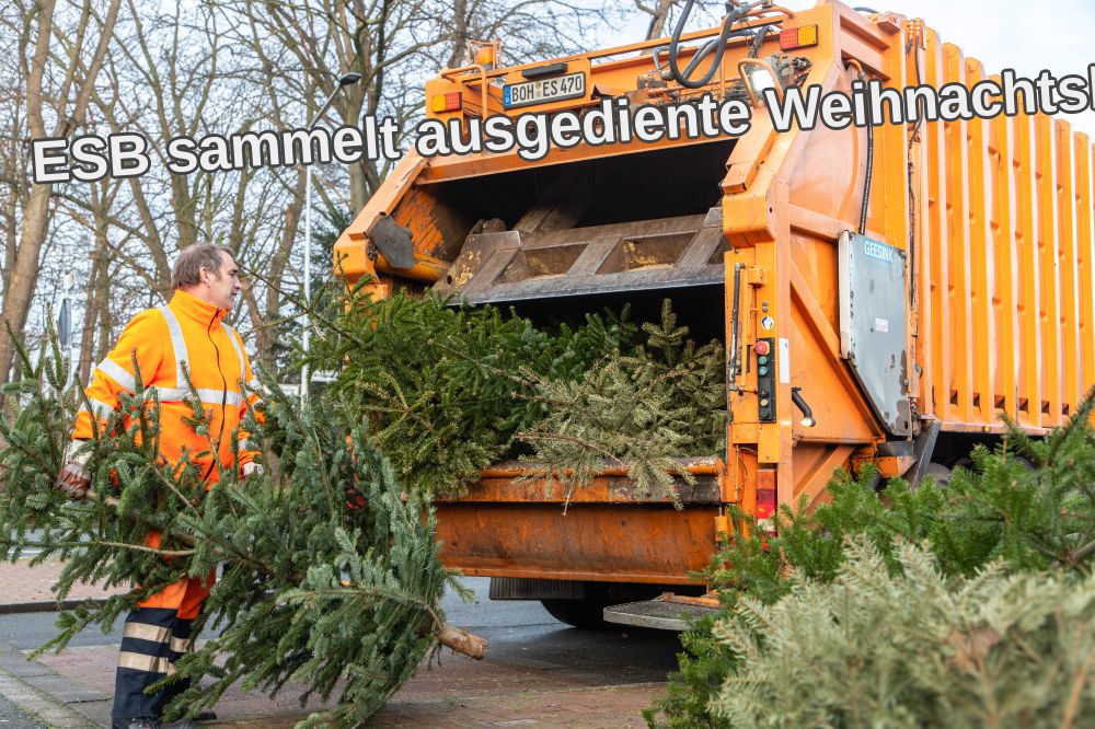 Esb Sammelt Ausgediente Weihnachtsbaeume Ein 05 01 2026