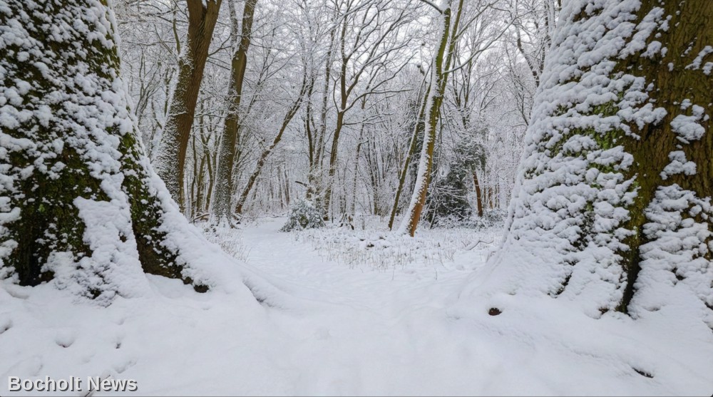 TIEF VERSCHEITER WALD AM BAHIA BAD BOCHOLT ENDE JANUAR 2026
