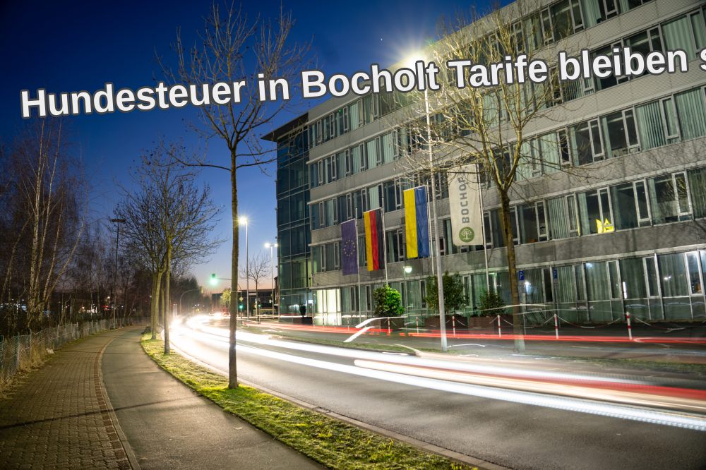 Hundesteuer in Bocholt Tarife bleiben stabil Service wird digitaler