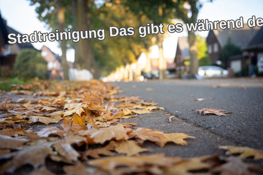 Stadtreinigung Das gibt es während der Laubzeit zu beachten