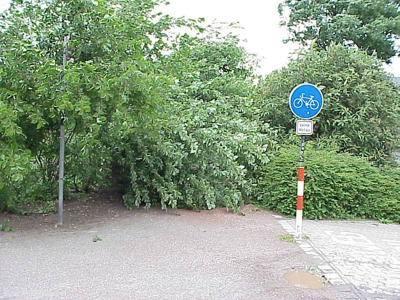 STURM AM AASEE IM JAHR 2000