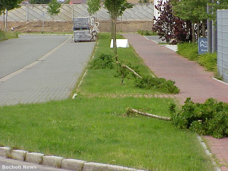 STURMSCHADEN ISSELBURGER STRASSE IM JAHR 2000