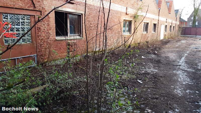 KUBAAI BOCHOLT IN ENTWICKLUNG IM MAERZ 2019 FOTO 86
