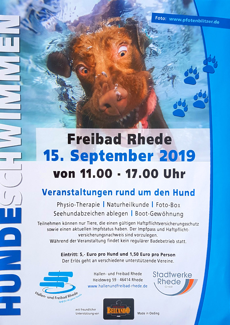 HUNDESCHWIMMEN FREIBAD RHEDE IM SEPTEMBER 2019