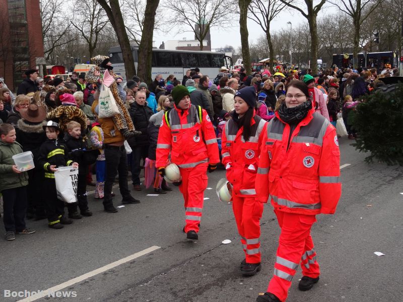 ROSENMONTAGSZUG BOCHOLT IM JAHR 2013 FOTO 20