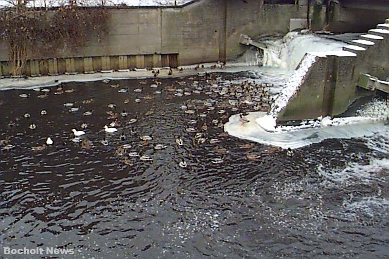 EXTREMER DAUERFROST IN BOCHOLT IM JANUAR 1997 FOTO 21