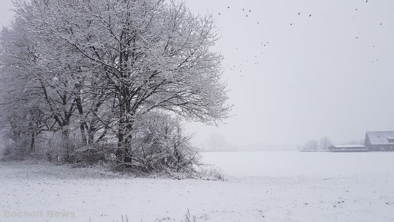 SCHNEE IM JANUAR 2019 IN BOCHOLT 12