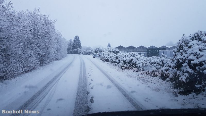 SCHNEE IM JANUAR 2019 IN BOCHOLT 14