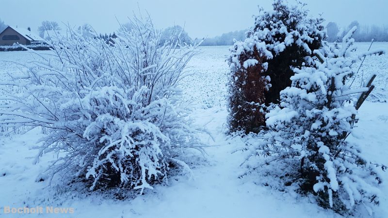 SCHNEE IM JANUAR 2019 IN BOCHOLT 15