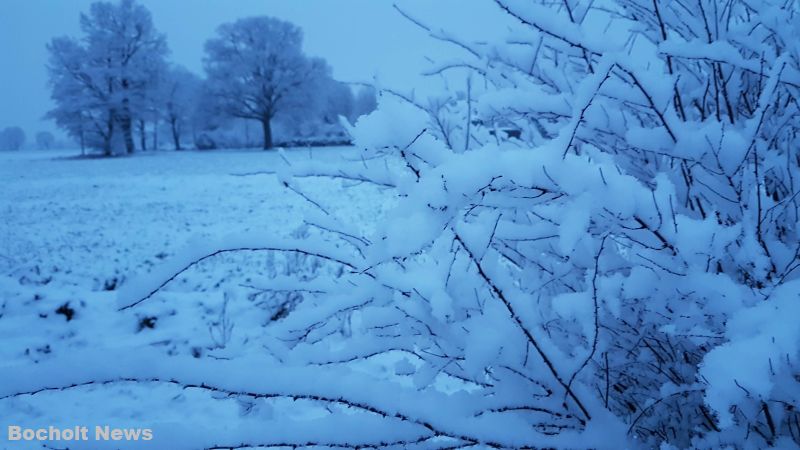 SCHNEE IM JANUAR 2019 IN BOCHOLT 16