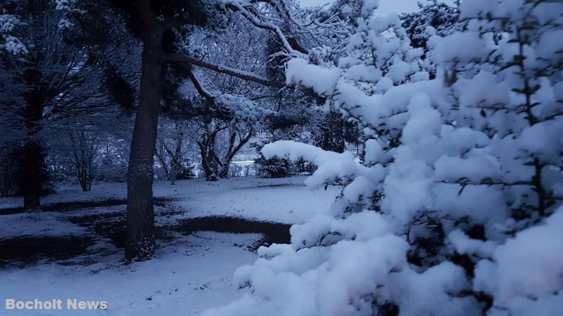 SCHNEE IM JANUAR 2019 IN BOCHOLT 25