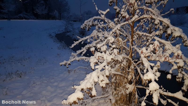 SCHNEE IM JANUAR 2019 IN BOCHOLT 30