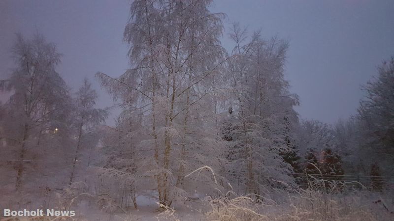 SCHNEE IM JANUAR 2019 IN BOCHOLT 37