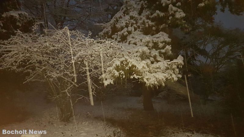 SCHNEE IM JANUAR 2019 IN BOCHOLT 44